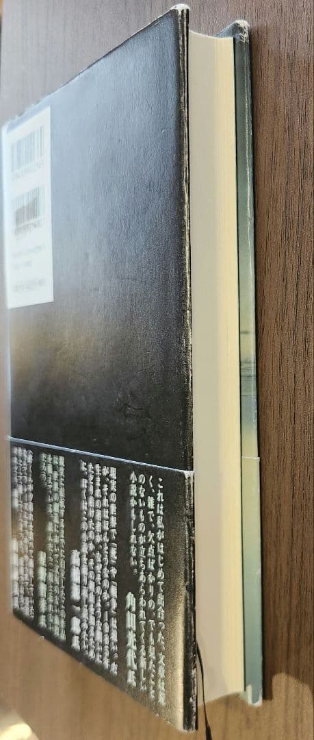 世界泥棒 桜井晴也 文藝賞受賞作/リサイクル本 - メルカリ