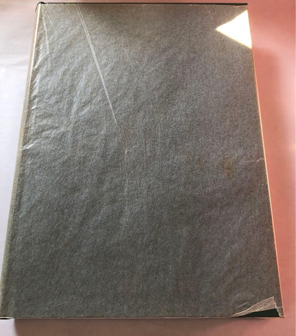 梵我一如への方法論的集大成　シュリ・オーロビンド著