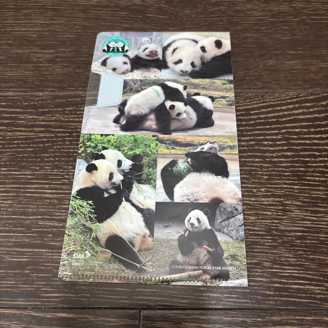 シャオシャオ レイレイ ぬいぐるみ 上野動物園 マルチケース付き