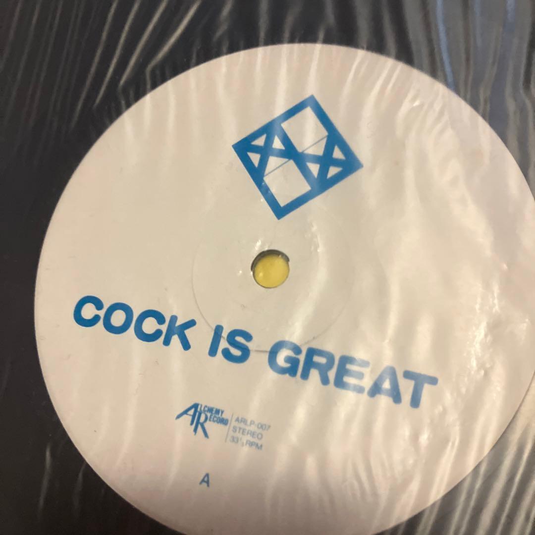 希少 美品 Hanatarashi ハナタラシ レコード