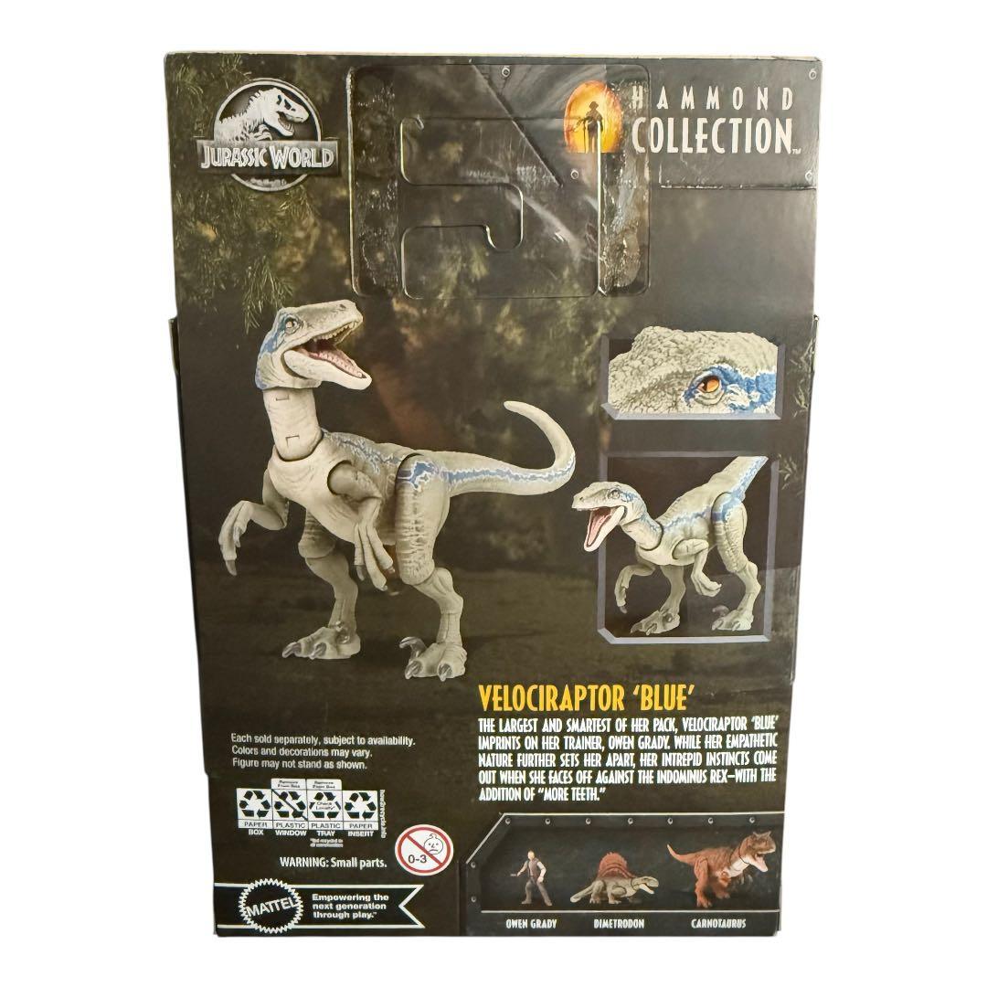 美品 折れ無ハモンドコレクション ヴェロキラプトル ブルー