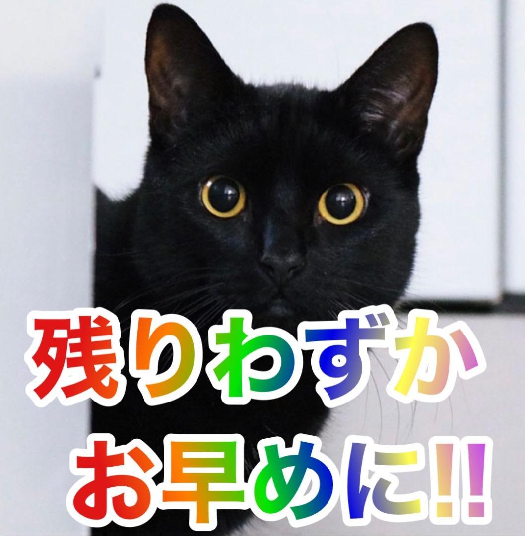 パチスロ実機 S押忍！番長ZERO操パネル コイン不要機ボリューム