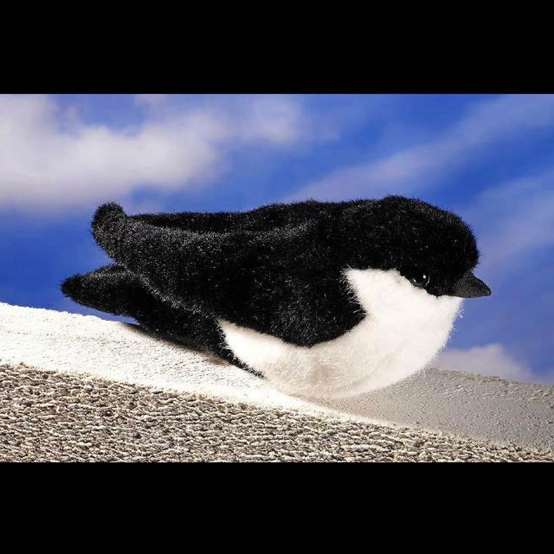 Kosen つばめ 銀座かねまつ | ・ 【2026Spring&Summer Collection】 ・ 品番：LS