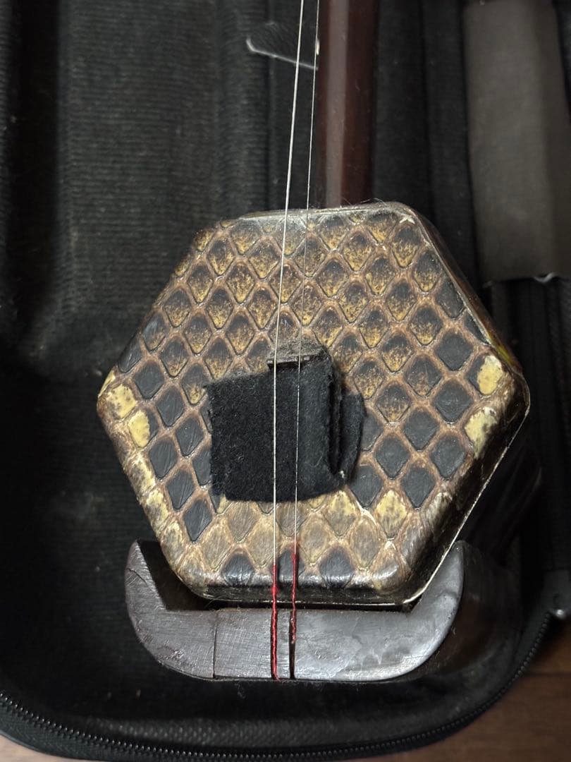 中国 蘇州製】二胡 本体＋弓＋ケース付き｜伝統民族楽器・初心者〜