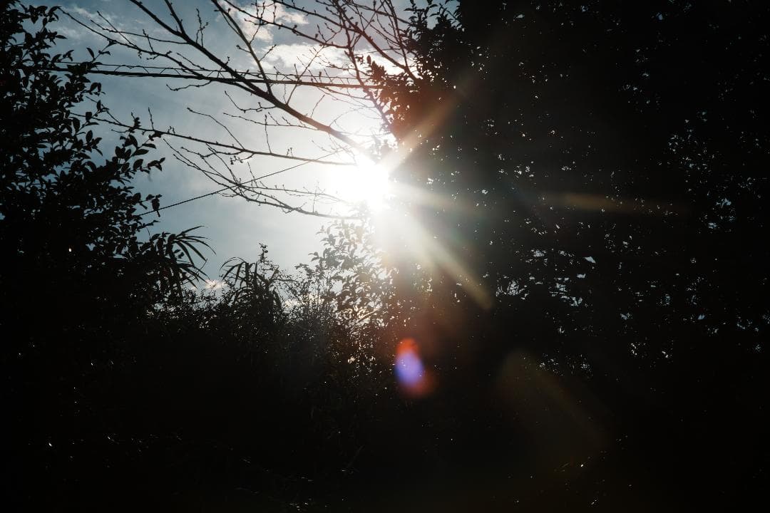 整備＆テスト済】ミノルタ MC-ROKKOR PF 85mm F1.7 713 - メルカリ