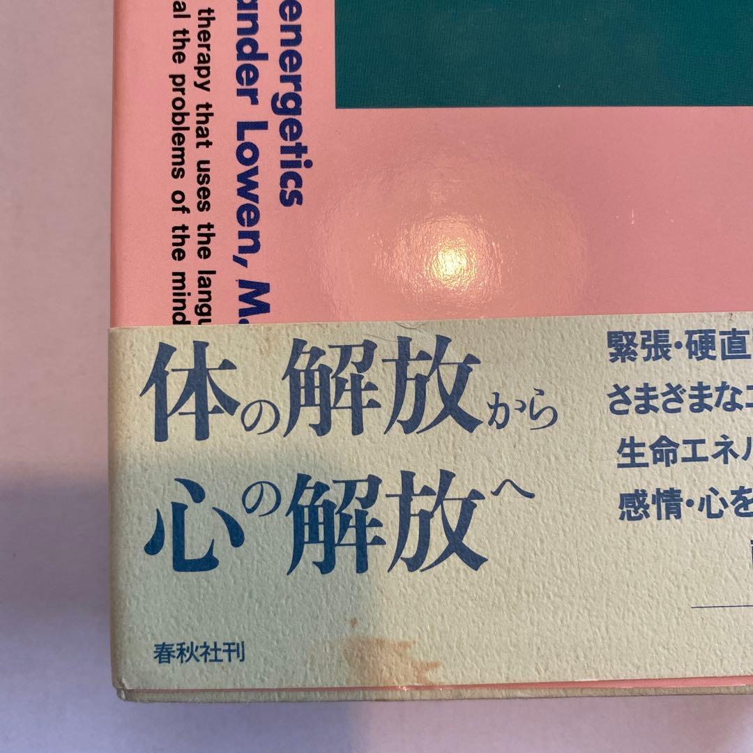 【絶版希少本】バイオエナジェティックス 原理と実践　アレクサンダー・ローエン著