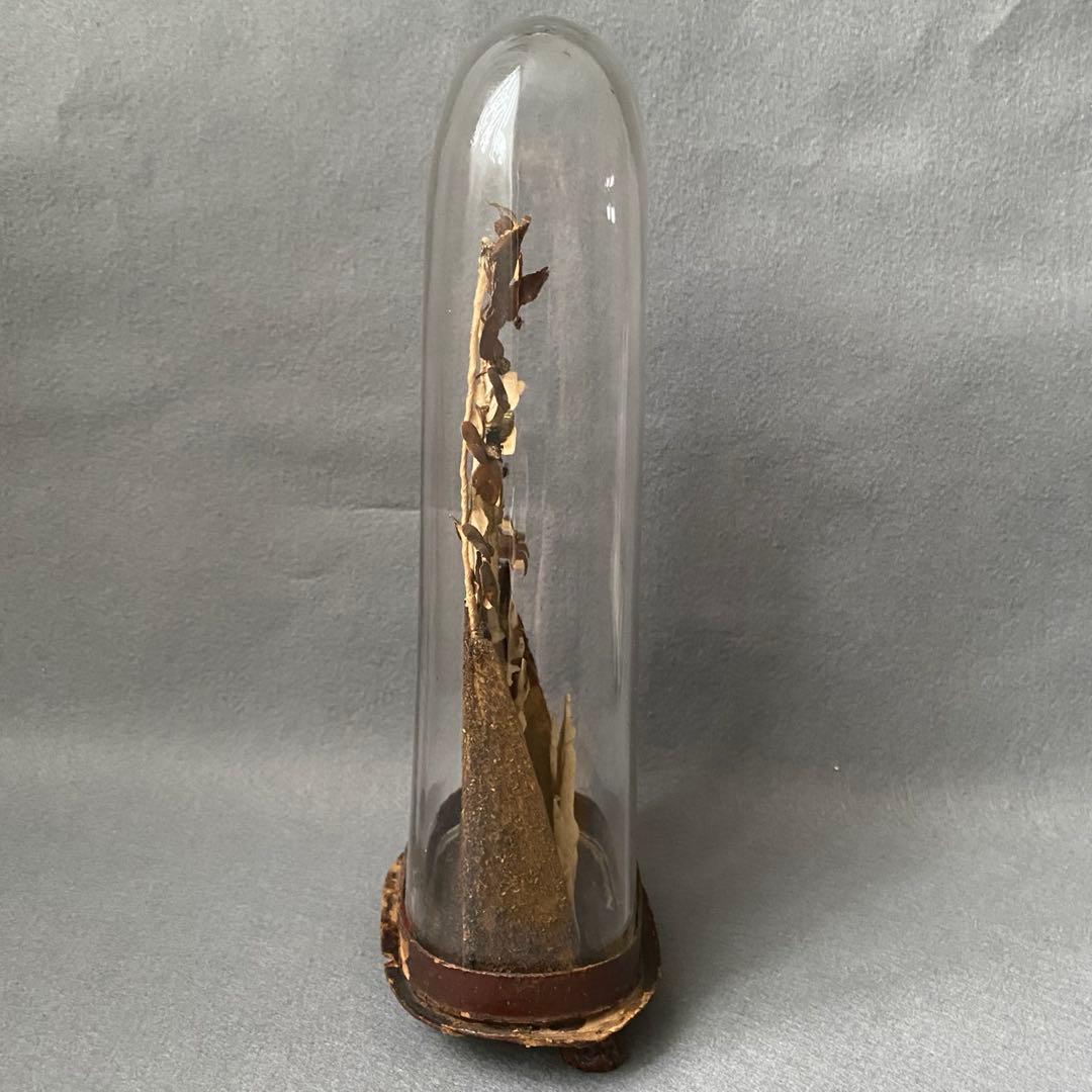 アンティーク】 ガラスドーム 黒マリア 聖母子像 グローブドマリエ