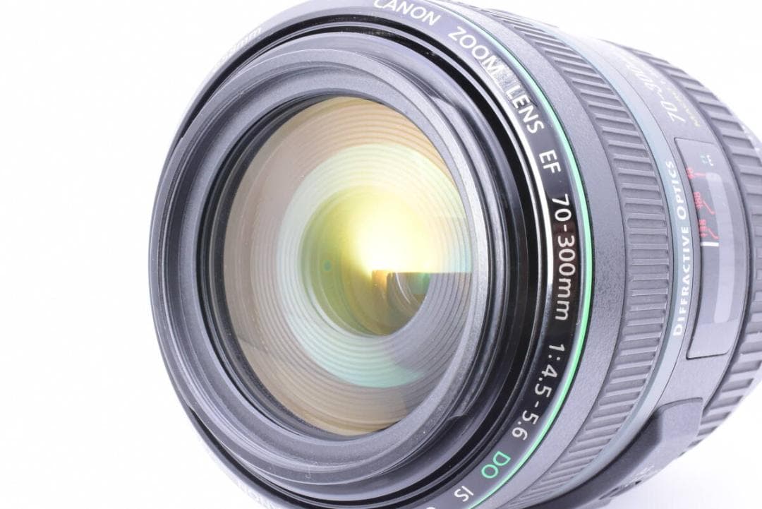 手振補正❄キヤノン EF 70-300mm F4.5-5.6 DO IS USM
