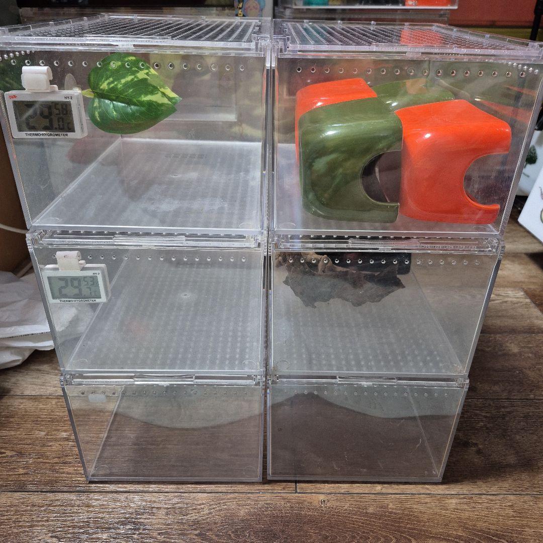 中古レプタイルボックス6個セット 中古レプタイルボックス6個セット - メルカリ
