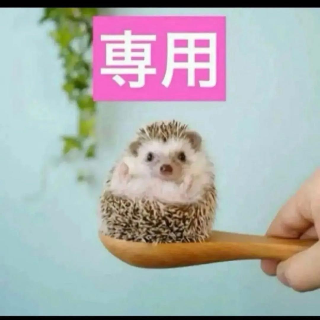 2点、コンシーラー1N、Rセラム ディオールスキン フォーエヴァー スキン コレクト コンシーラー