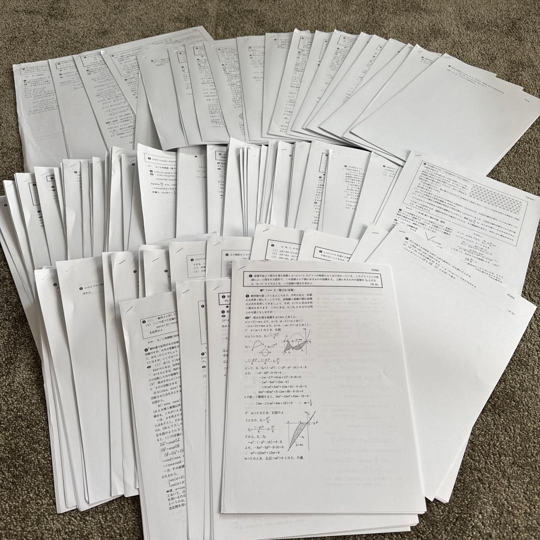 難関国公立有名大学　医学部受験　数学問題集 約100ページ 以上日本語 大学入試 全レベル問題集 数学Ⅲ+C 6 私大上位・国公立大上位レベル