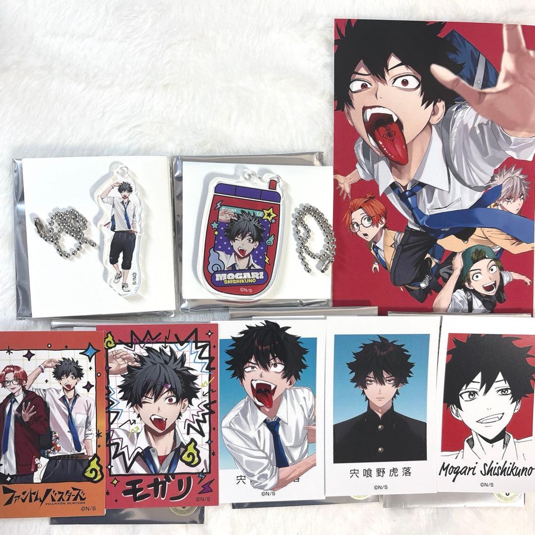 ファントムバスターズ 宍喰野虎落セット - メルカリ