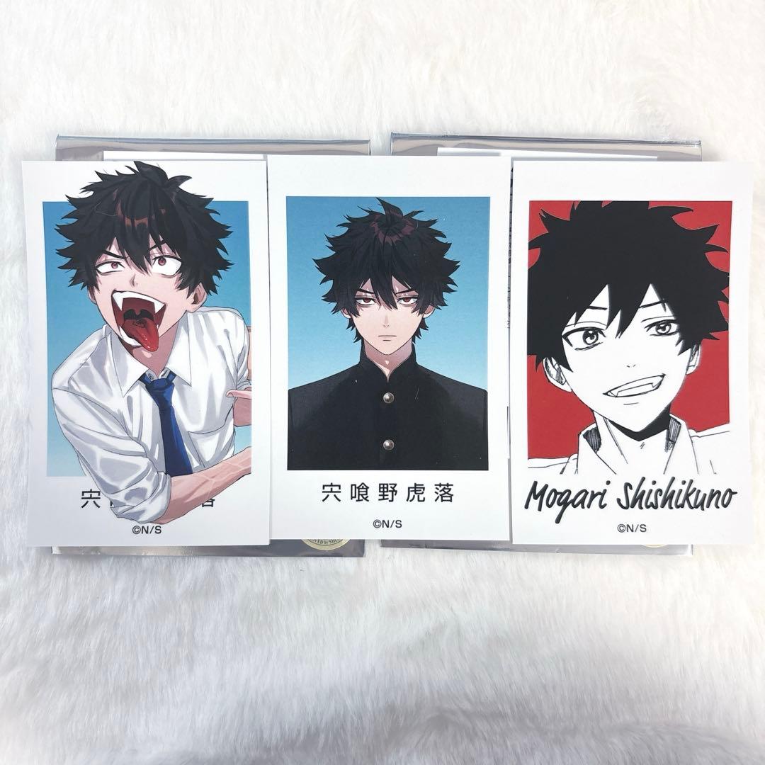 ファントムバスターズ 宍喰野虎落セット - メルカリ