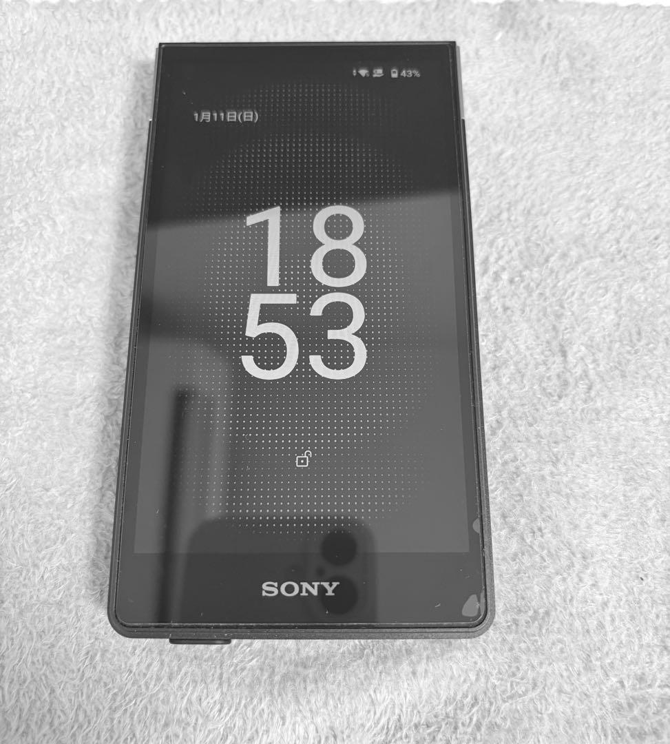 SONY NW-ZX707 ウォークマン ハイレゾ対応 microSD ケース - メルカリ