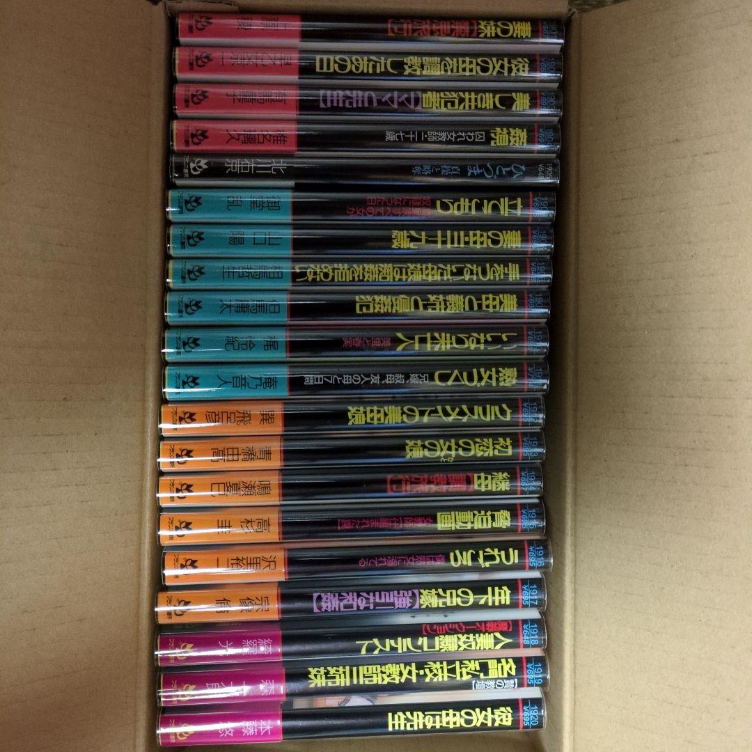 絶版！希少！ フランス書院文庫1901〜1999 全初版帯付