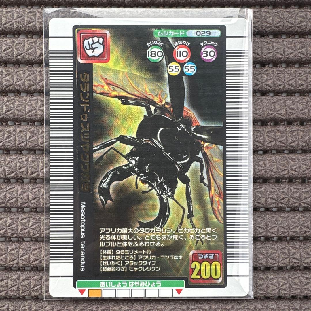 希少 タランドゥスツヤクワガタ 2005年夏限定デザインカード 金