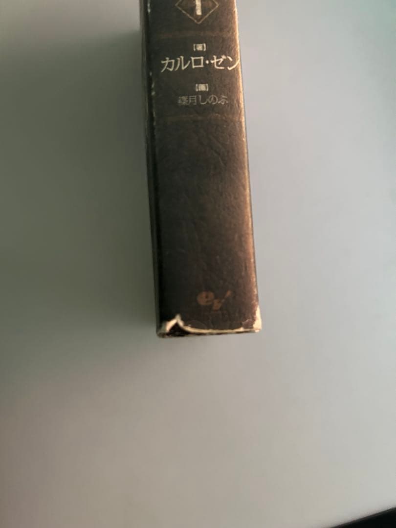 幼女戦記 19巻セット+α