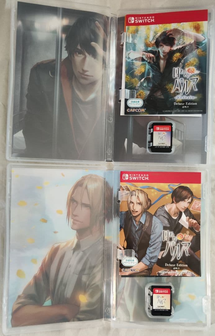 中古　代拍王公式アカウント03様用囚われのパルマ2点セット　動作確認済み