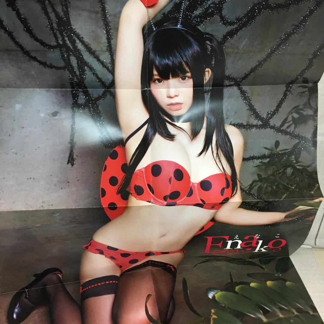 えなこ フォトブック 8冊+ポスター まとめセット h3637