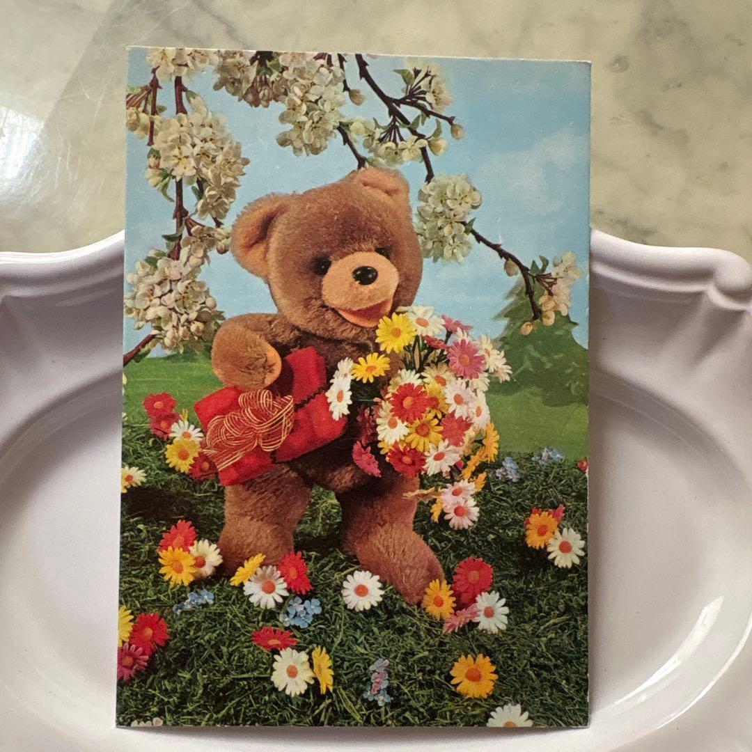 フランス ヴィンテージ ポストカード テディベア et ネコちゃん - メルカリ