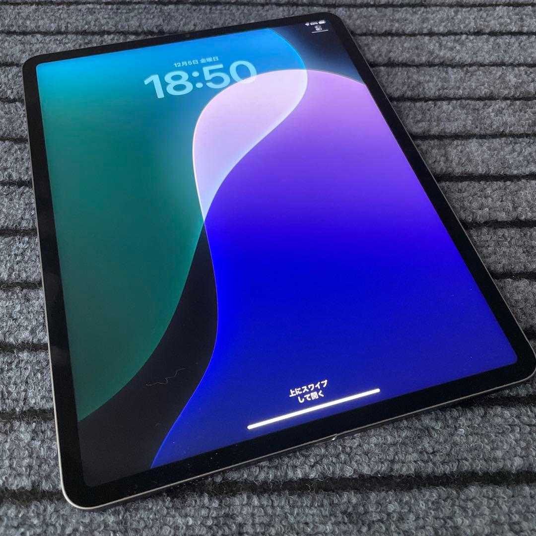 132 iPad Pro 12.9 5世代 M1チップ 512GB Wi-Fi Apple iPad Pro 12.9インチ 第5世代 Wi-Fi+Cellular 512GB 2021年春