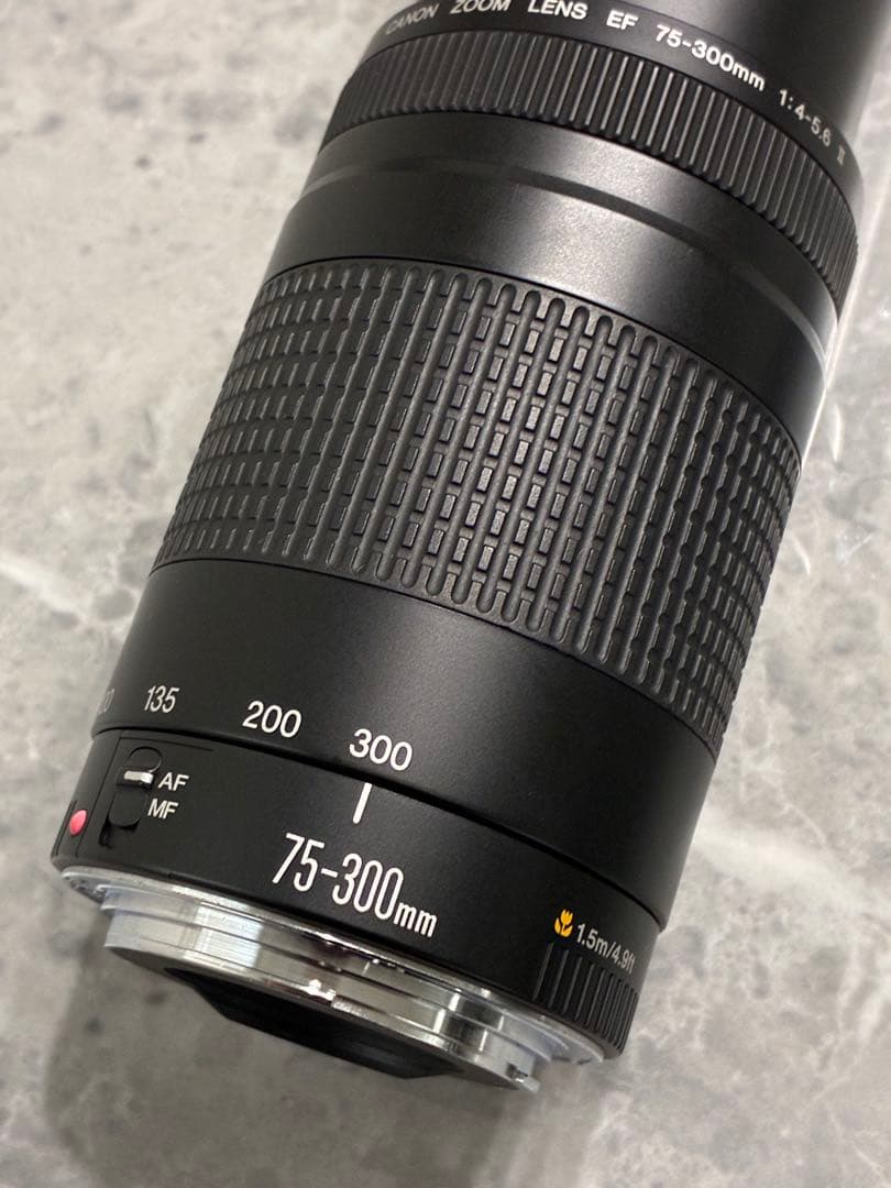 ⭐️美品⭐️キャノン Canon EF 75-300mm F/4-5.6 II 望遠