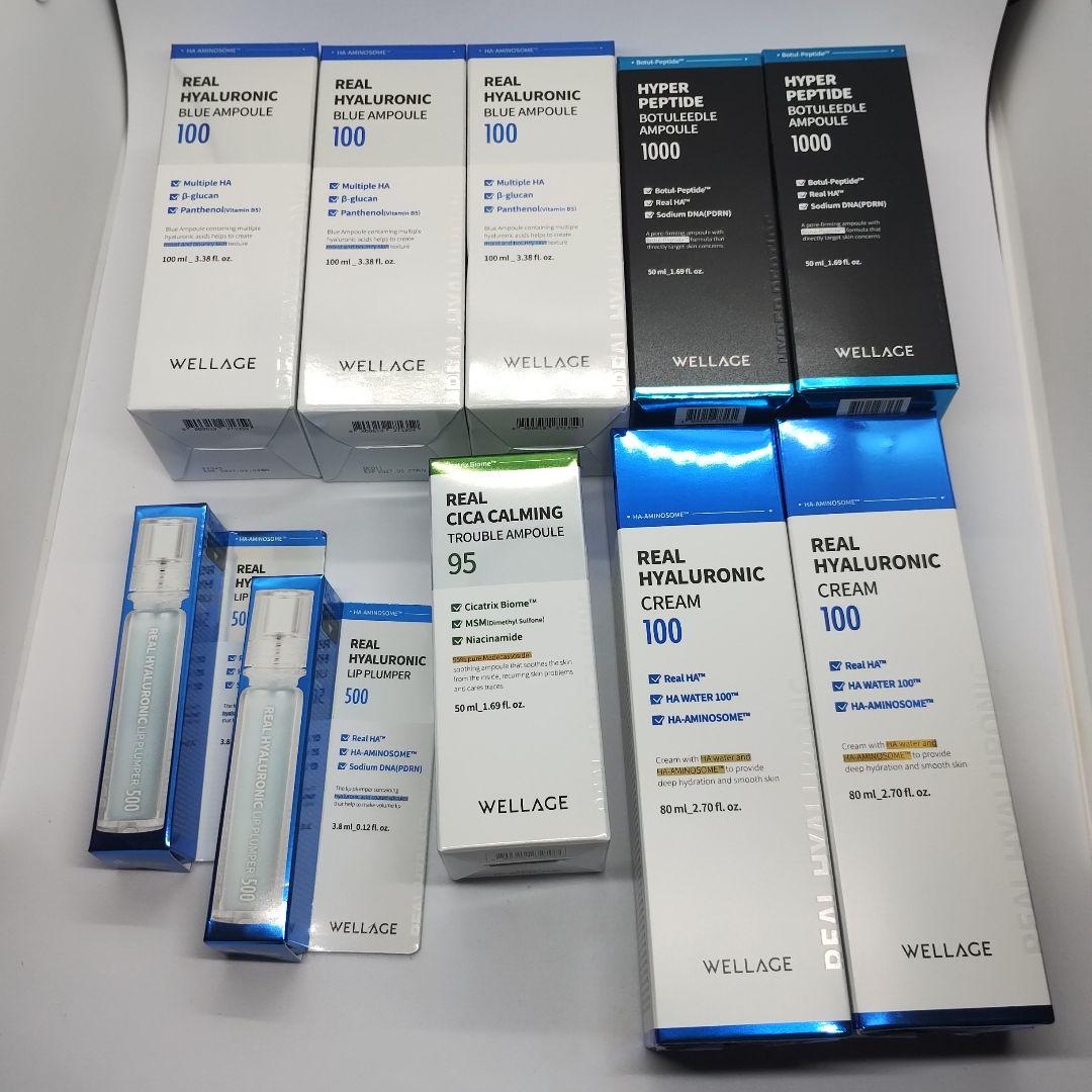 WELLAGE 10セット 9 Piece Luggage Sets, Hard 20 24 28 inch Luggage with 6 Pieces