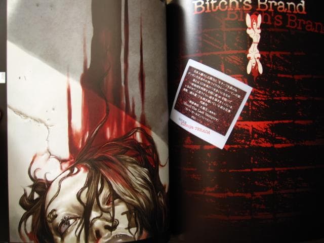 Bitch's Life ビッチズ・ライフ イラストレーションファイル 帯付