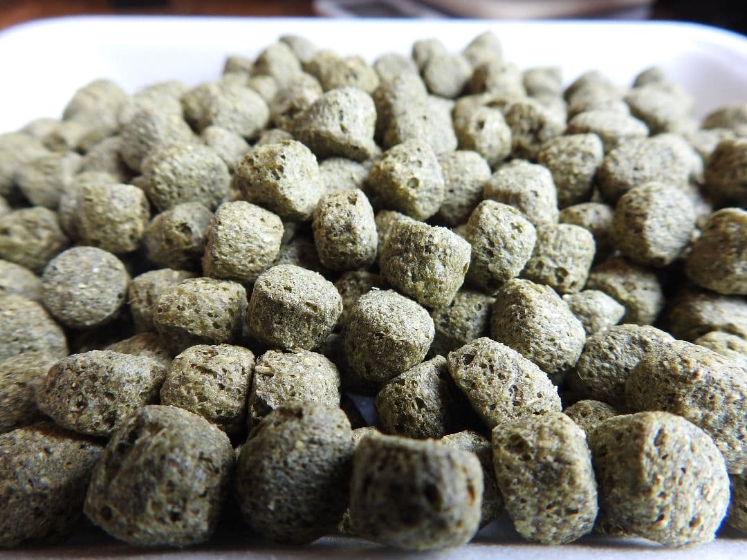 送料無料【アヒル、コールダック用飼料】 10kg 送料無料【アヒル