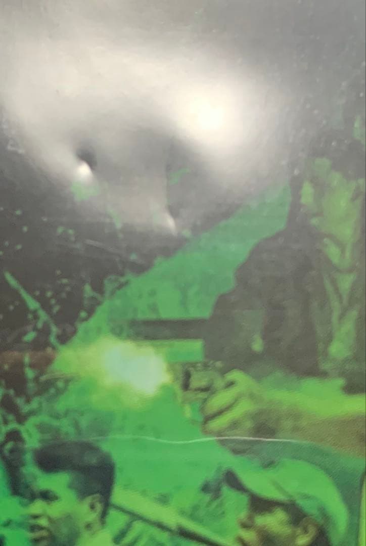 【未開封】ニューオーダー Blu-ray&DVD〈2枚組〉廃盤