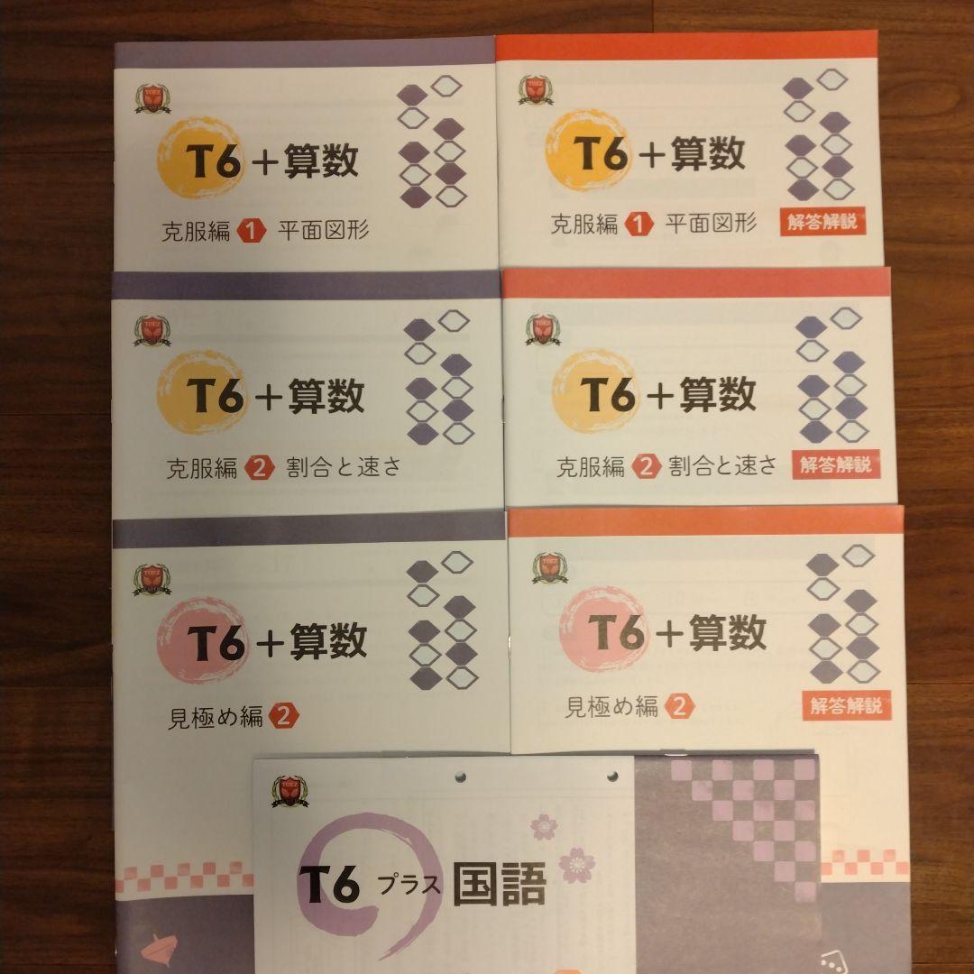 トイズアカデミー T6 算数 見極め編 割合と速さ 平面図形 国語 知識