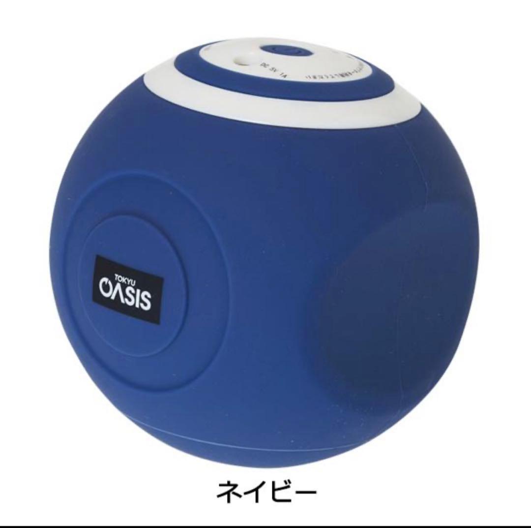 スポーツオアシス スタイリーボール、付属品揃ってます