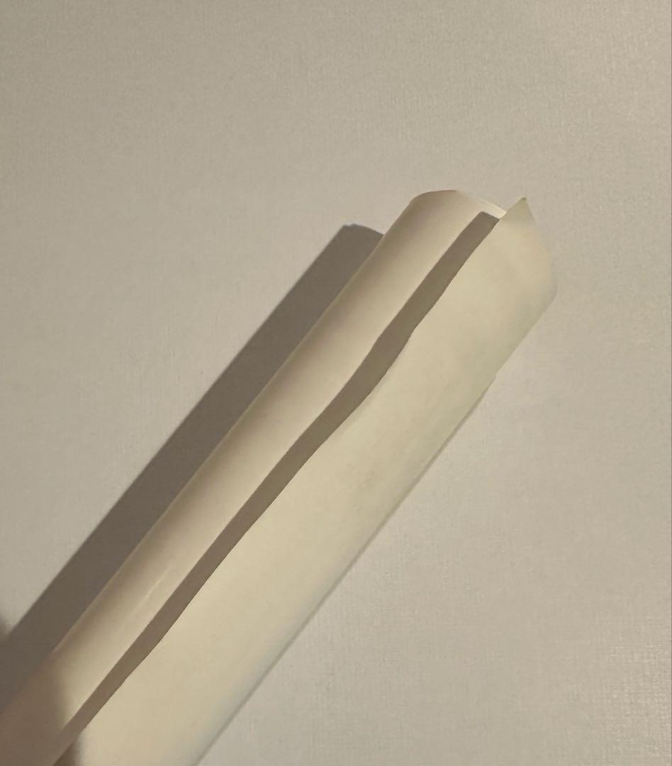 銀杏BOYZ 『君と僕の第三次世界大戦的恋愛革命』 ポスター 公式品 峯田