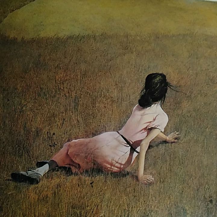 ワイエス画集Ⅱ アンドリュー・ワイエス リブロポート - メルカリ