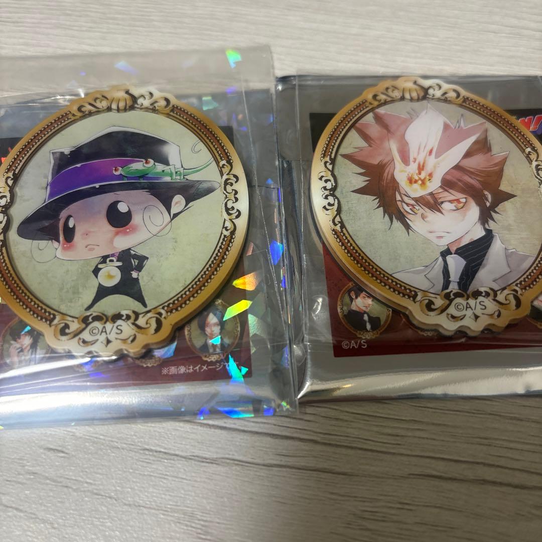 家庭教師ヒットマンREBORN!フレームスタイルマグネットコレクション 第