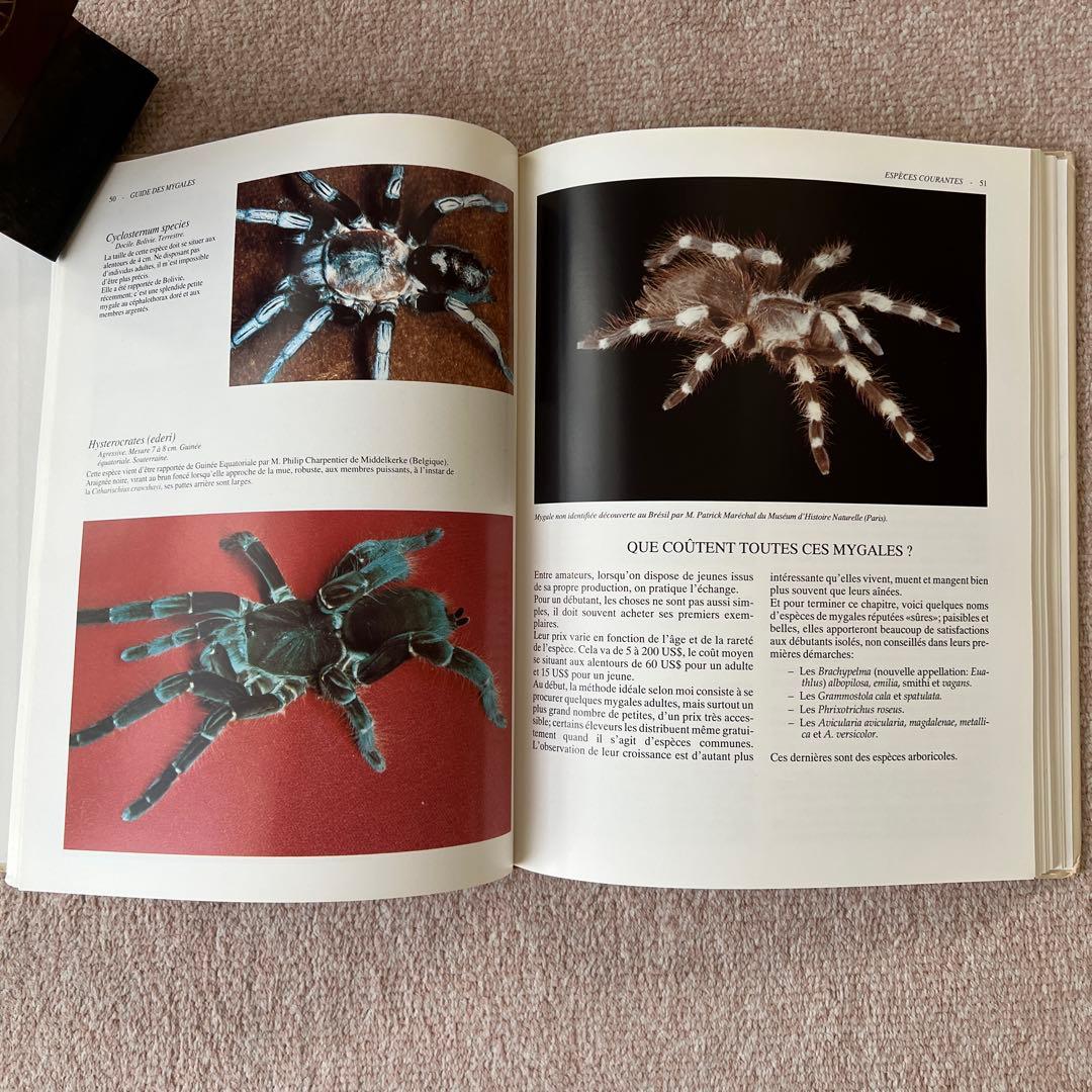 洋書 GUIDE DES MYGALES タランチュラなど - メルカリ