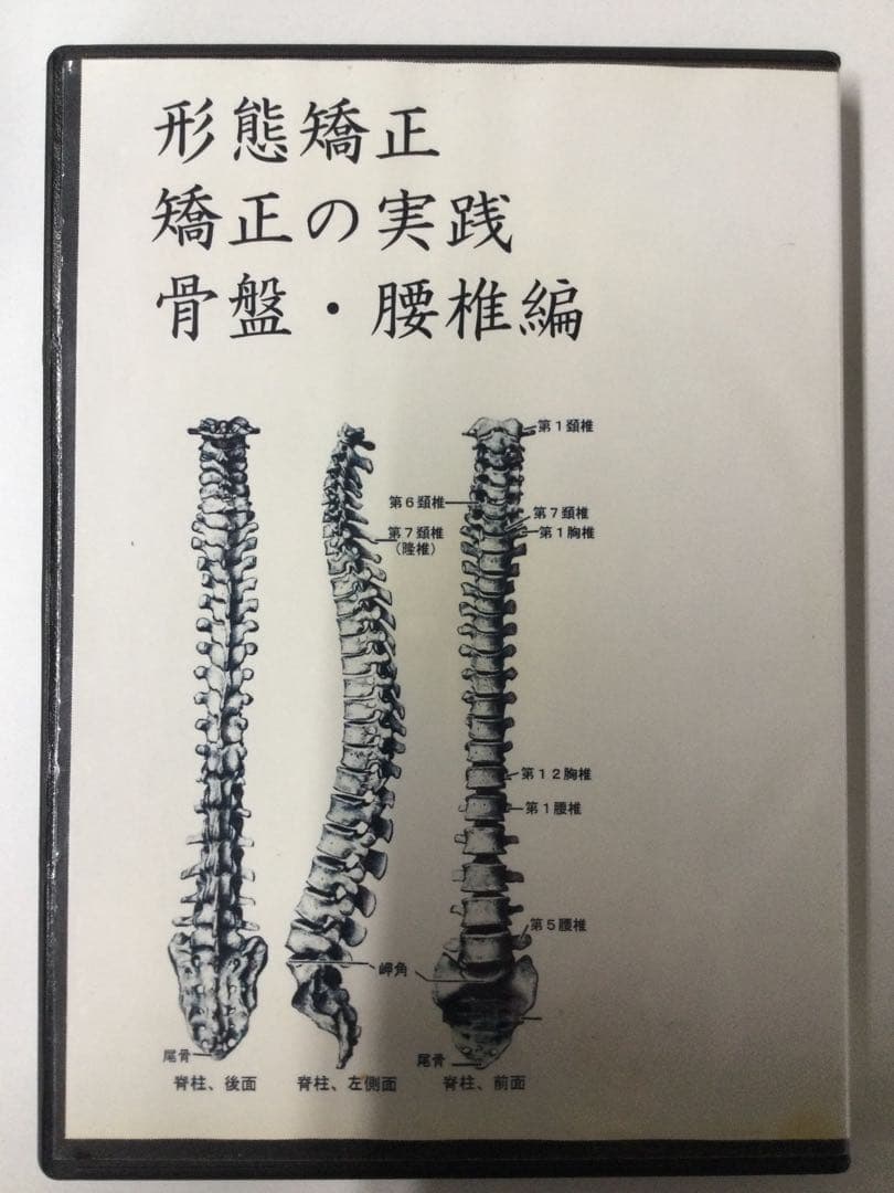 徒手療法協会 花山形態矯正 DVD5巻セット計６枚 整体 モルフォセラピー