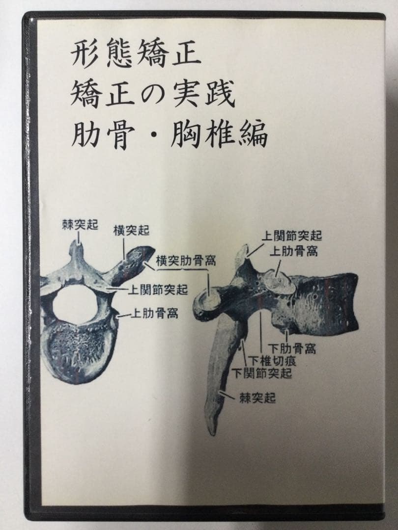 徒手療法協会 花山形態矯正 DVD5巻セット計６枚 整体 モルフォセラピー