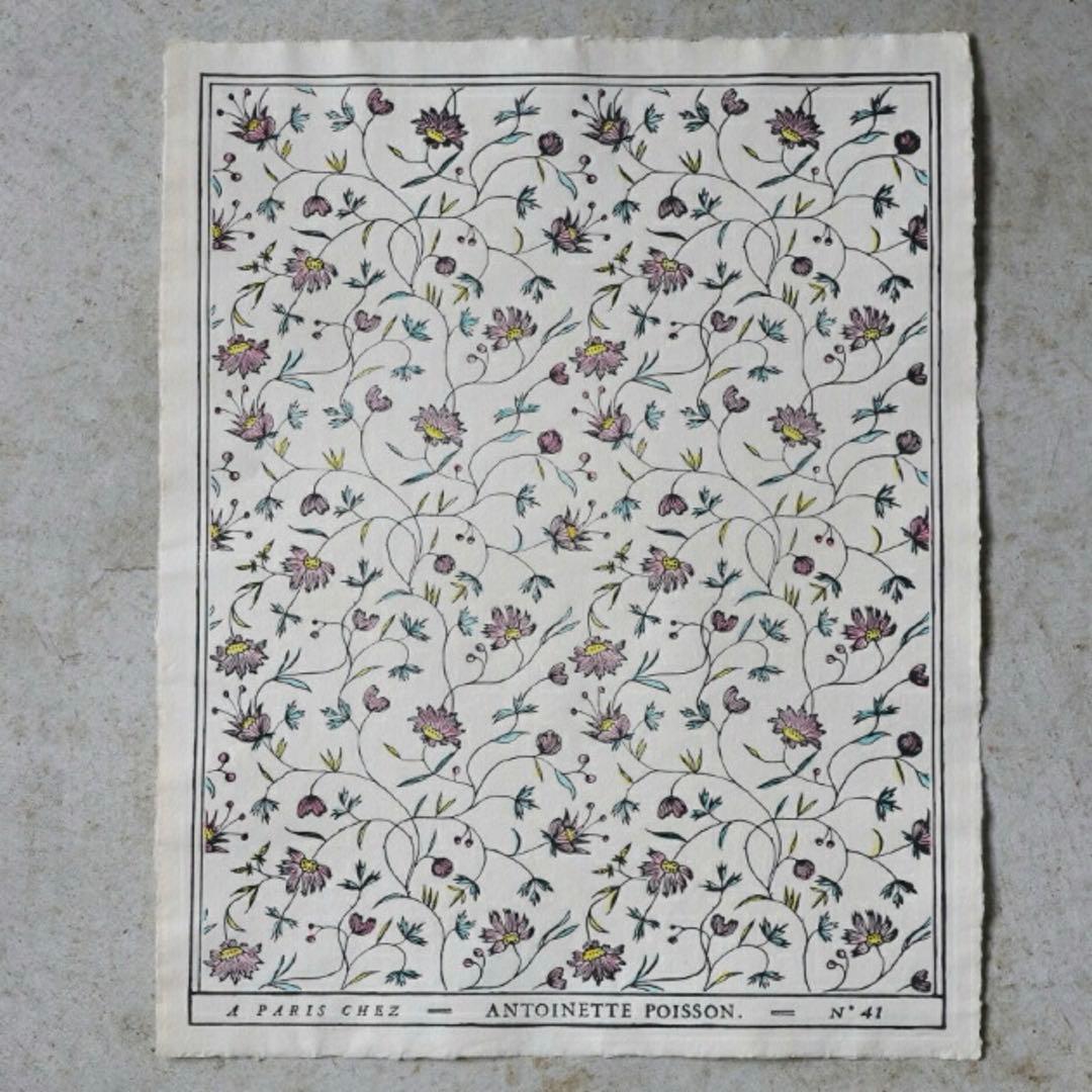 ドミノペーパー Antoinette Poisson アントワネットポアソン 楽天市場】ドミノペーパー 59C Antoinette Poisson // アントワネット