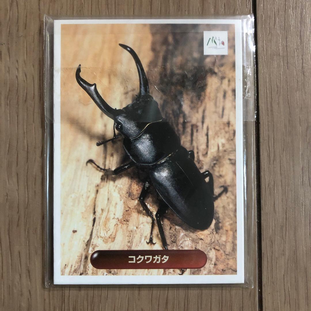 ゲームボーイアドバンス みんなの飼育シリーズ ぼくのカブト・クワガタ