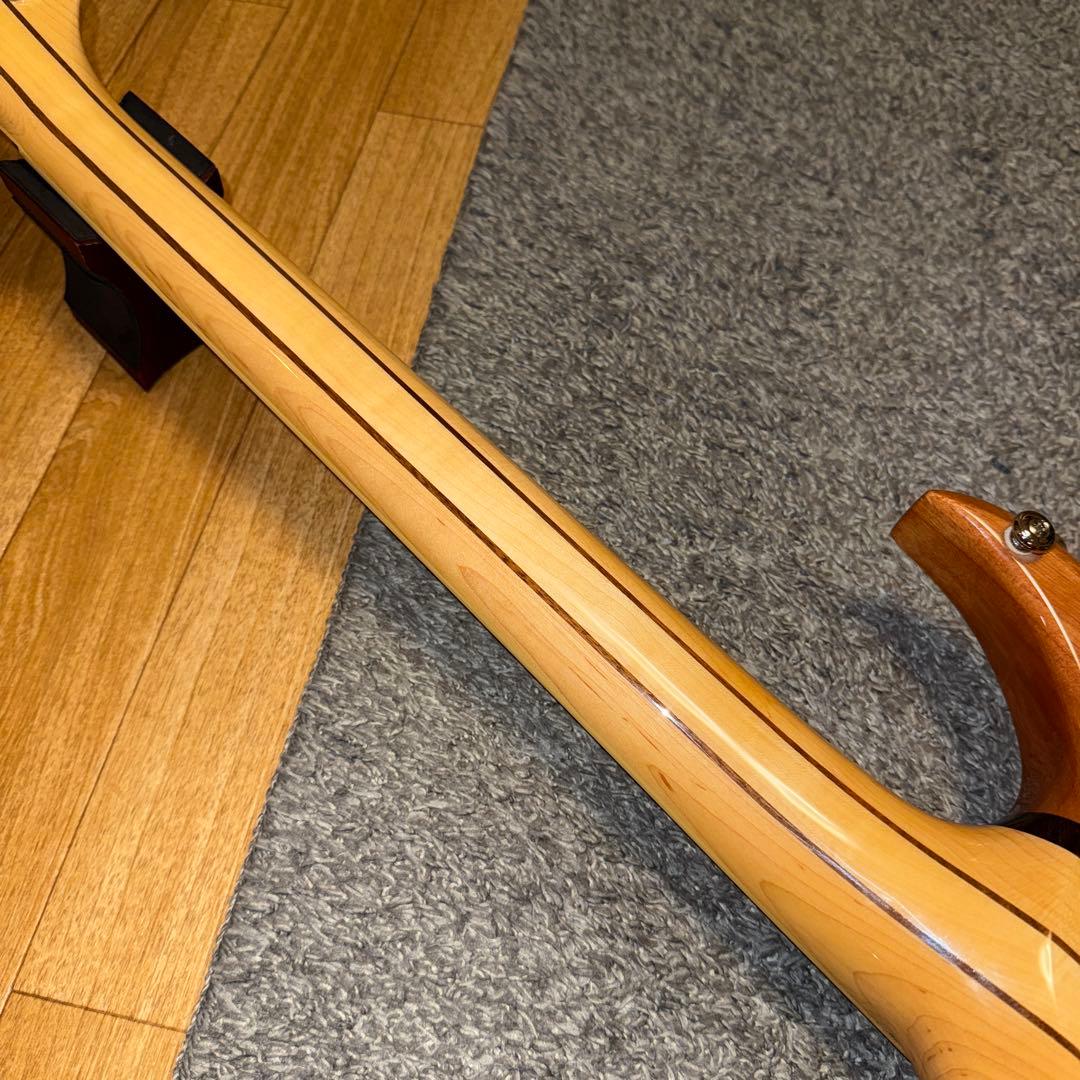 B.C.Rich EXOTIC CLASSIC BICH 純正 ギグバッグ 付き