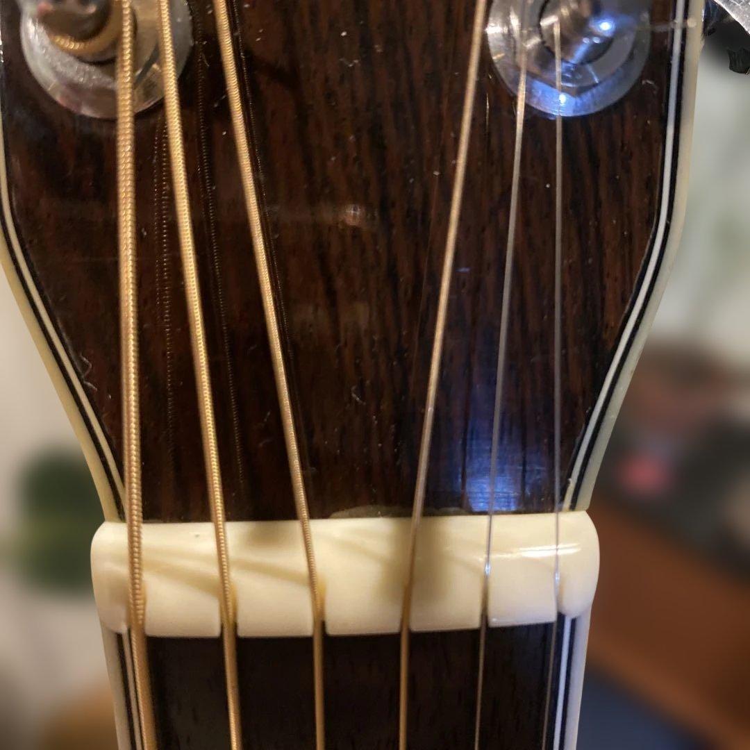 モーリス w-60 お正月セール - ギターオンライン で 販売