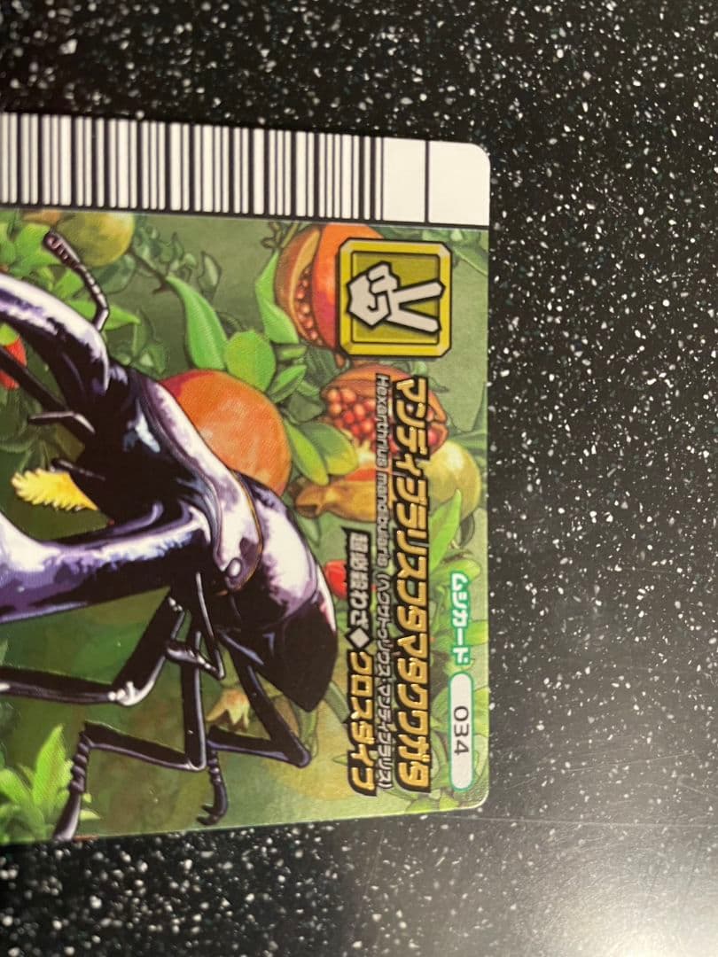 ト*ン様 ムシキング 5周年 マンディブラリスフタマタクワガタ 26