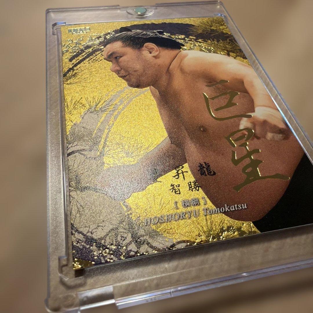 大相撲 BBM 2026 SUMO CARDS インサート 巨星 豊昇龍 智勝 - メルカリ