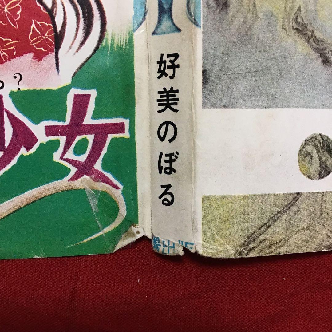 好美のぼる　少女スリラー　やもり少女　あなたもやもりにとりつかれたら？