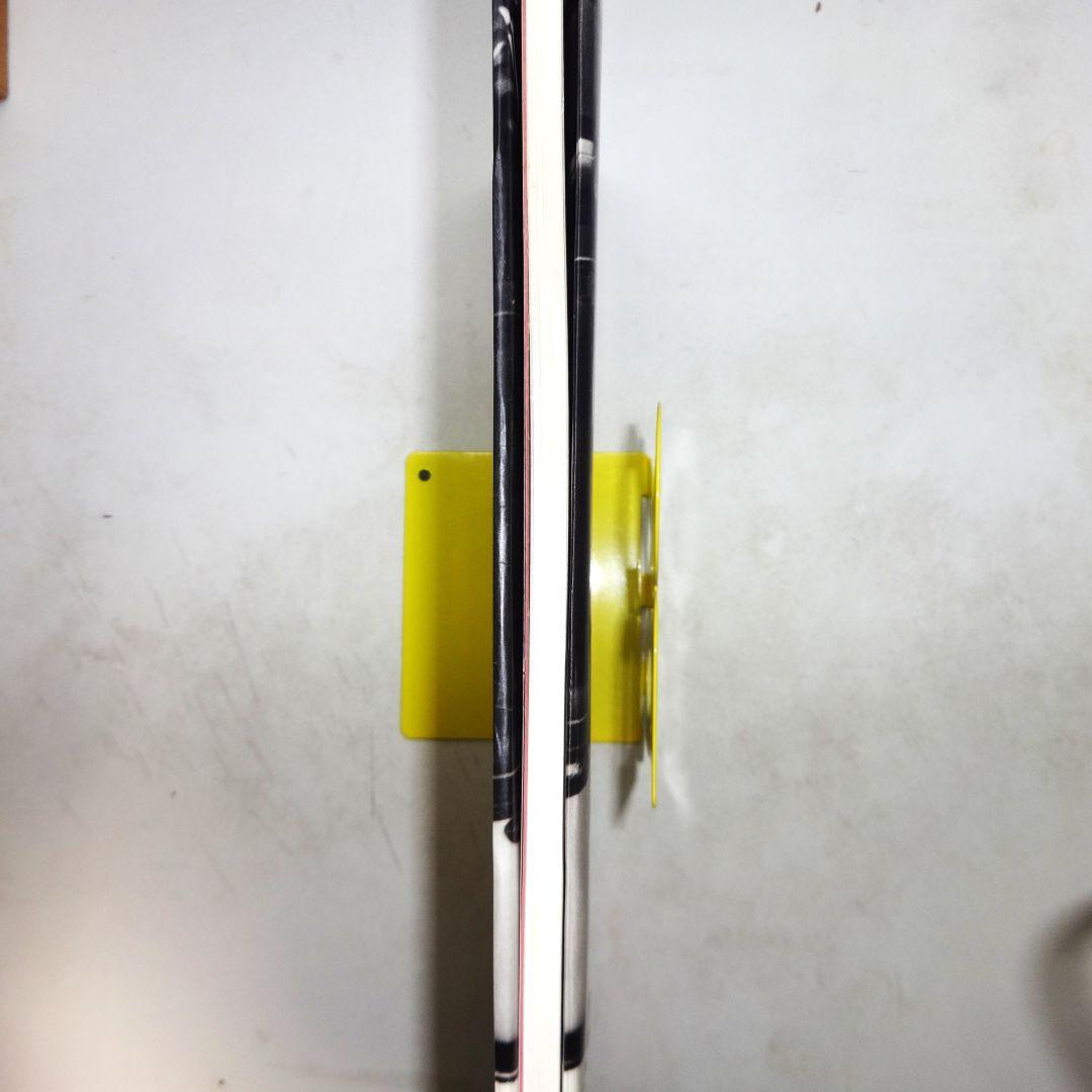 原芳市　写真集　「淑女録」