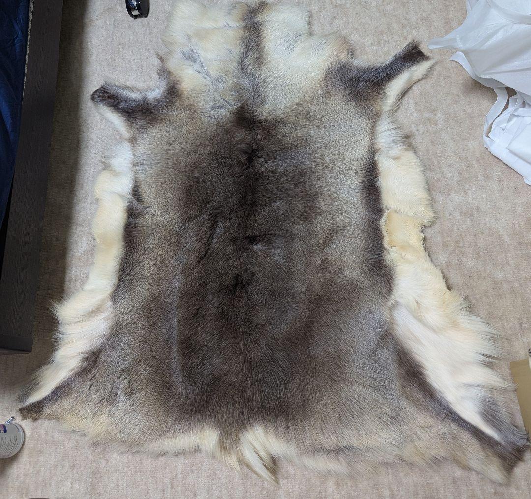 トナカイ　毛皮　フィンランド産 楽天市場】中サイズ/大サイズ/特大サイズ【フィンランド ラップランド