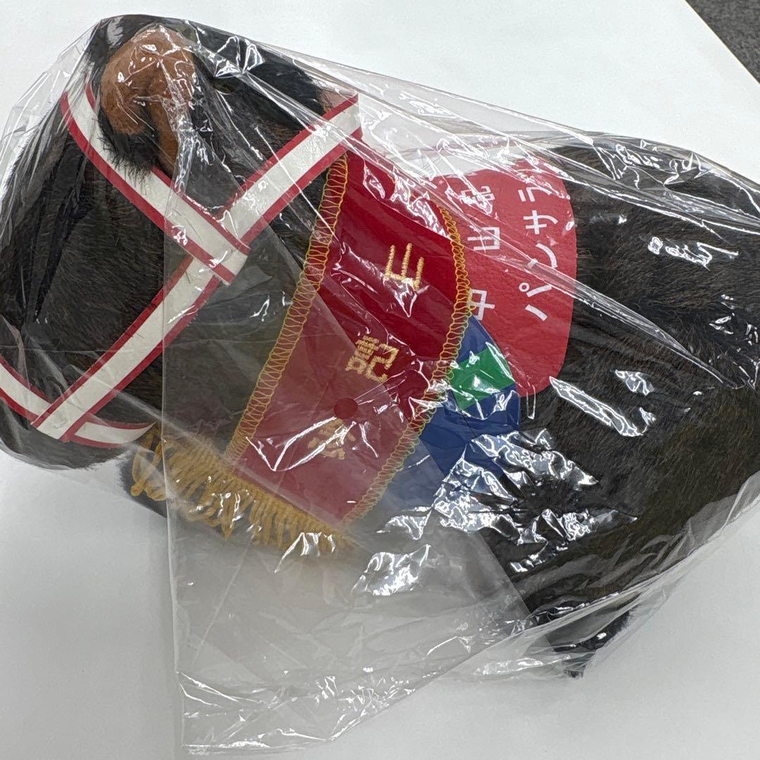 第90回中山記念　パンサラッサ 第90回中山記念 パンサラッサ 第90回中山記念 パンサラッサ 希代の逃げ