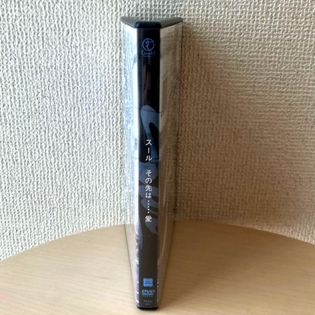 スール その先は……愛('88仏/アルゼンチン)　DVD 日本語字幕