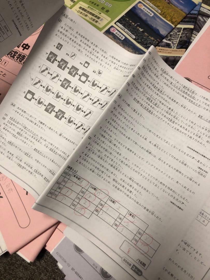 サピックス6年社会 デイリー春/夏/土特/日特/GS/夏集中 2024年